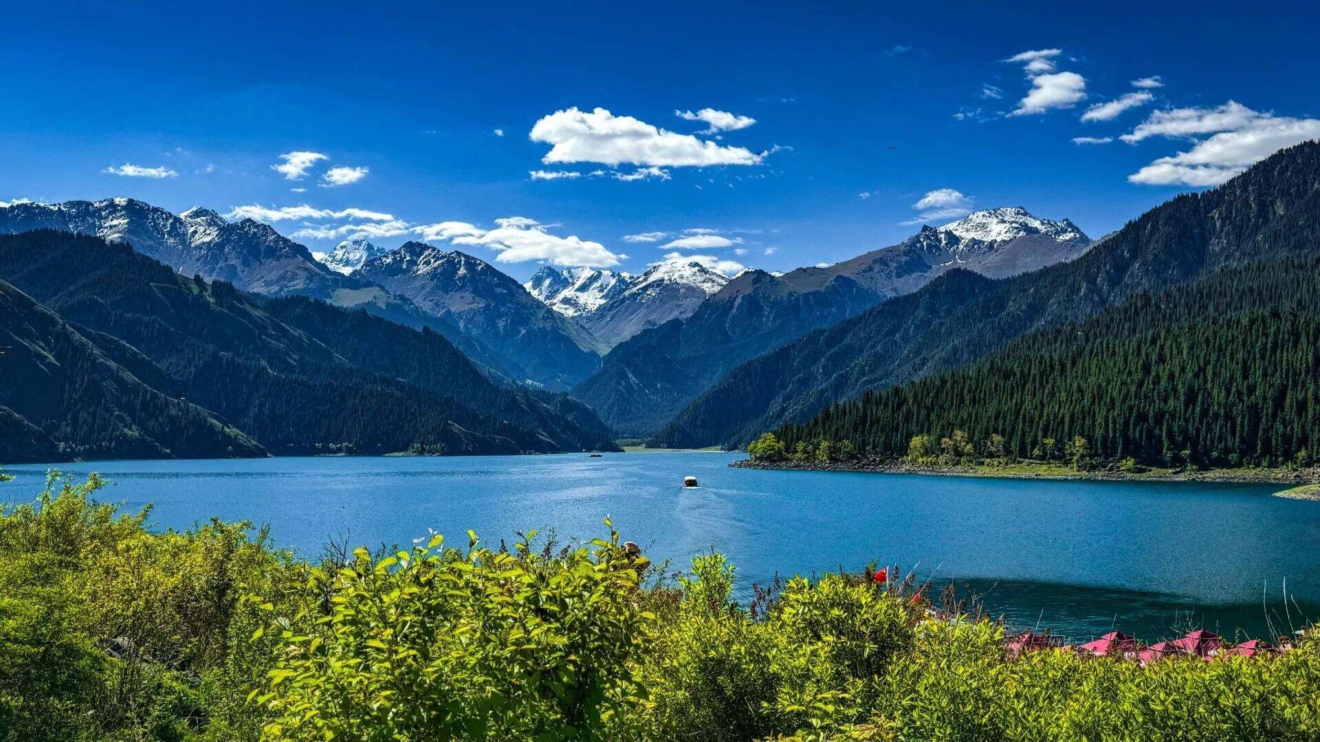 00000000DUXKaaLRdKkWVVSW