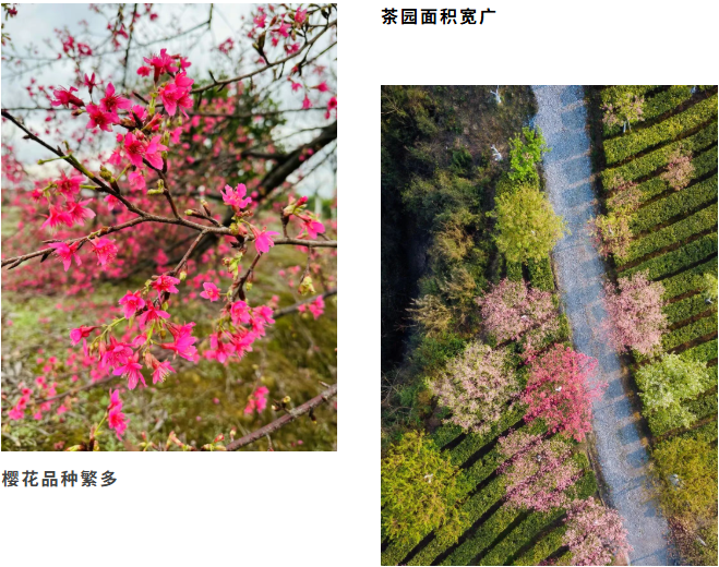 00000000DaJeAuXDrQAdulCb-1