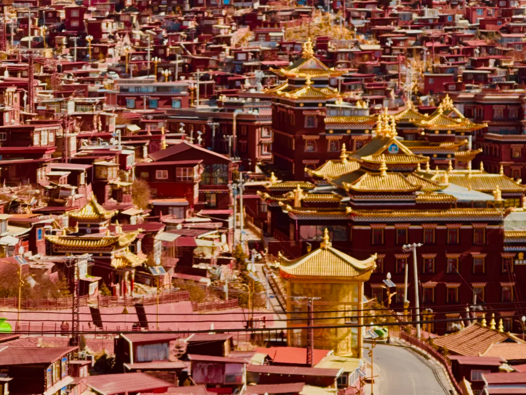 00000000DpWWSYNtuOZclfUQ