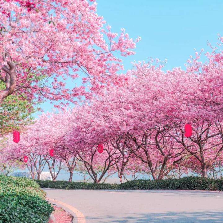 00000000ESVybdOpaPWqudbl