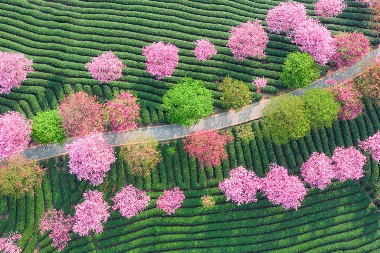 00000000EgRFxehrdrIkmVLL