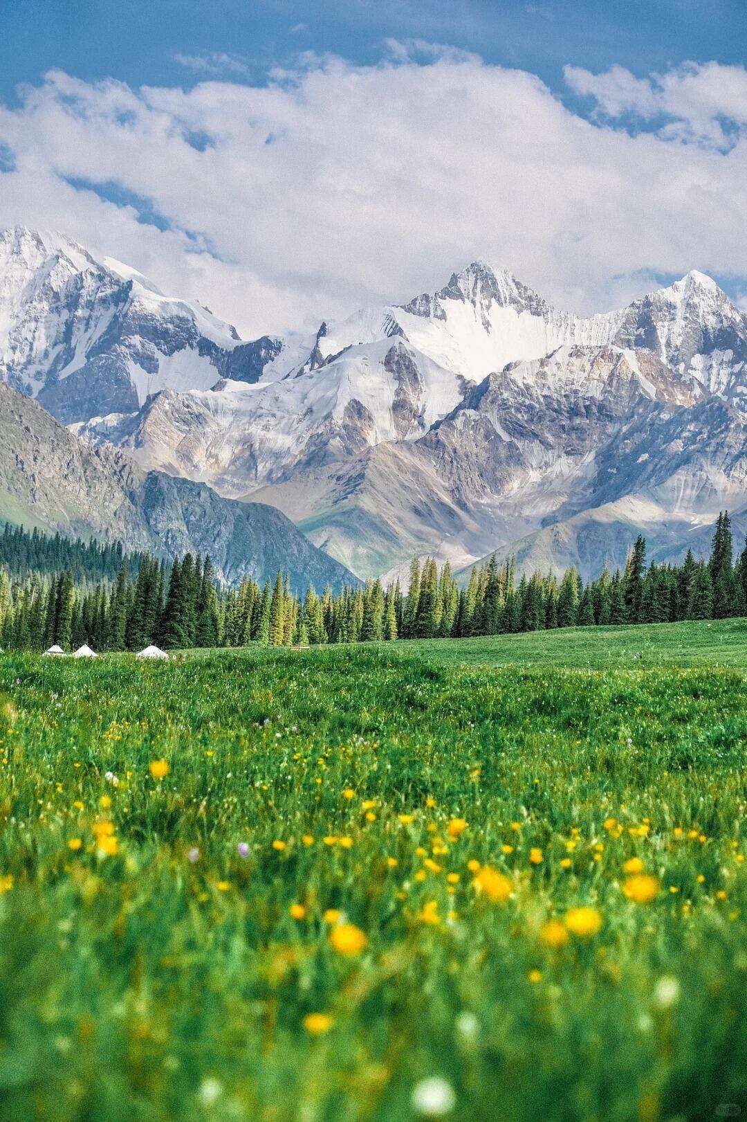 00000000ElcFEwhqbLtWqQHF