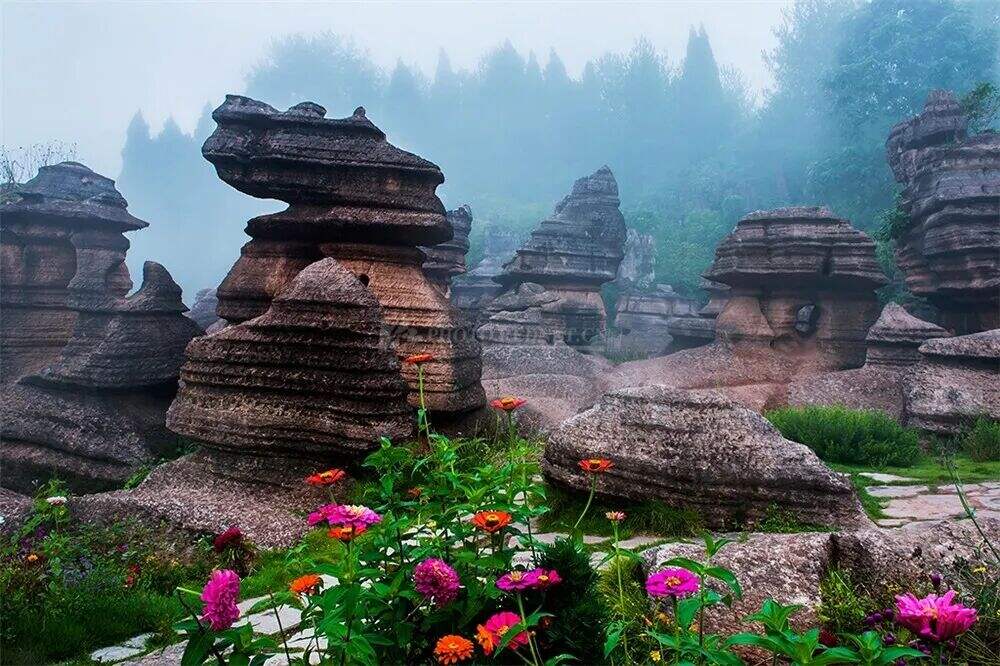 00000000EtmgQxgNQySyuahM