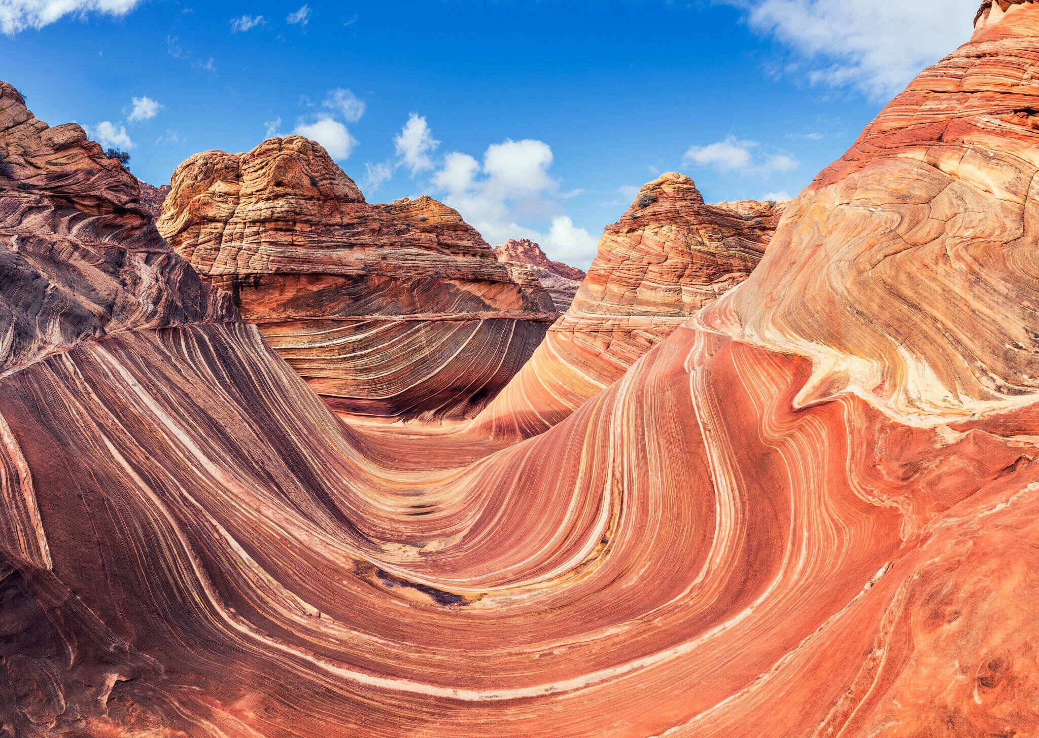 00000000FmESwiIMwoActOBi