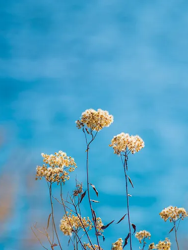 00000000FpIQEvLGPEuCqCKw