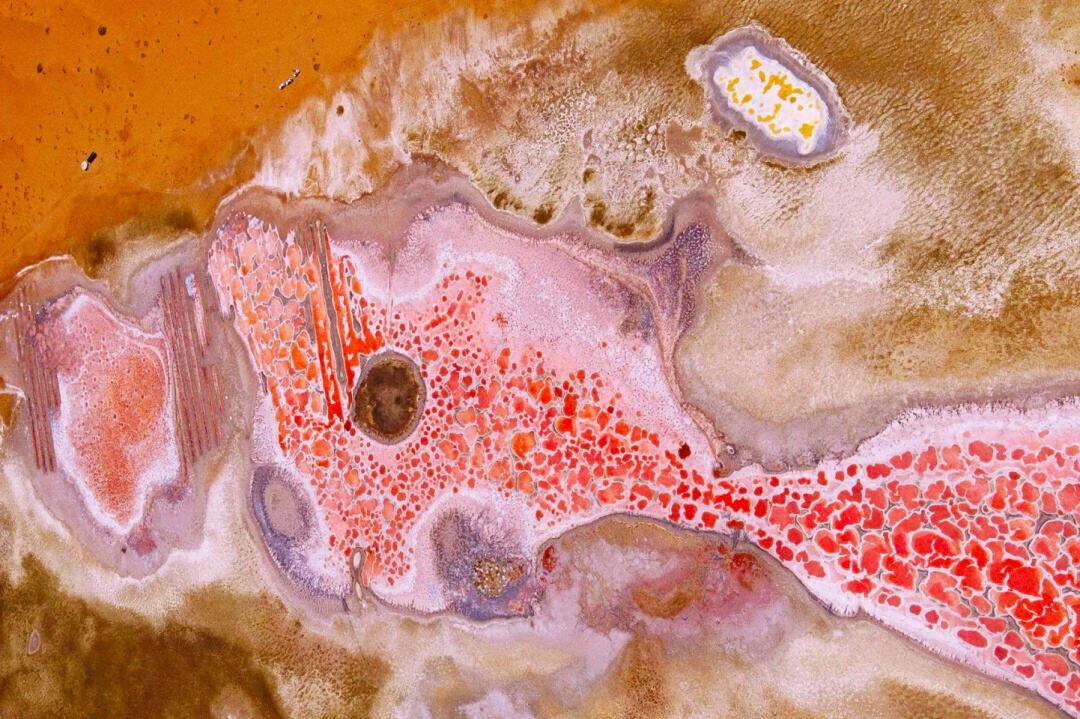 00000000FrpRxnRqCocmUVXe