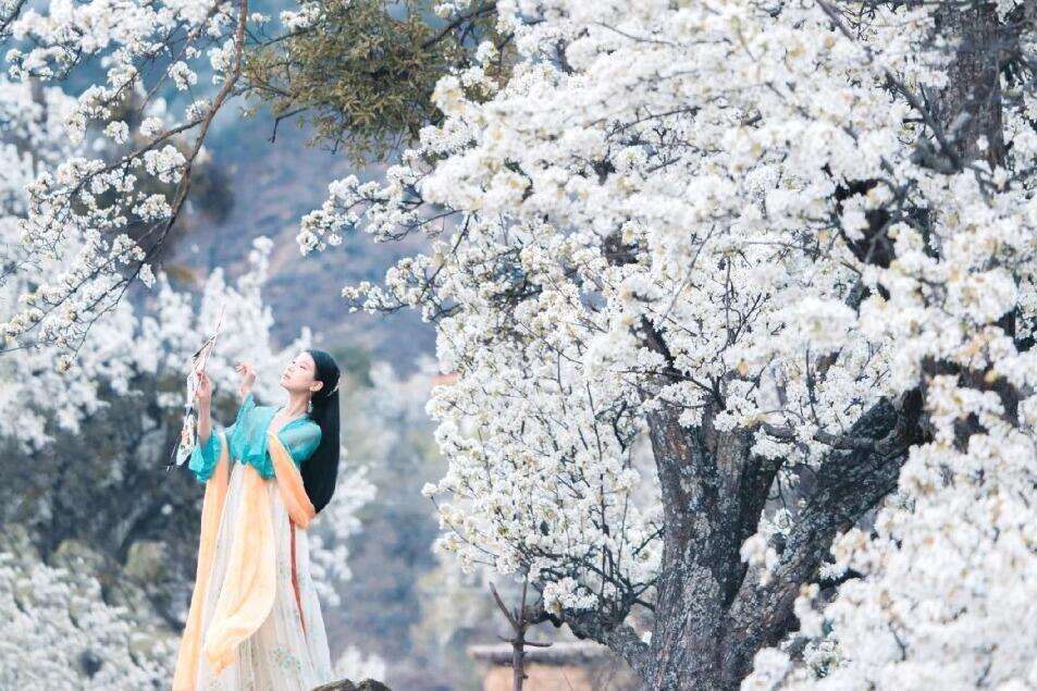 00000000FwGMhFcaIhfRgXOr