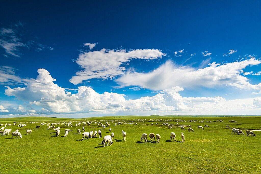 00000000GIESQEklFQBspWQo