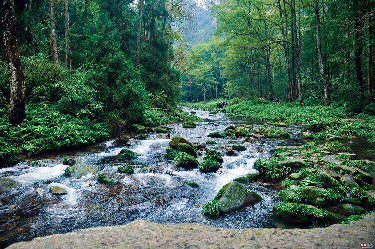 00000000GPwzkTKBPwVQOGdY