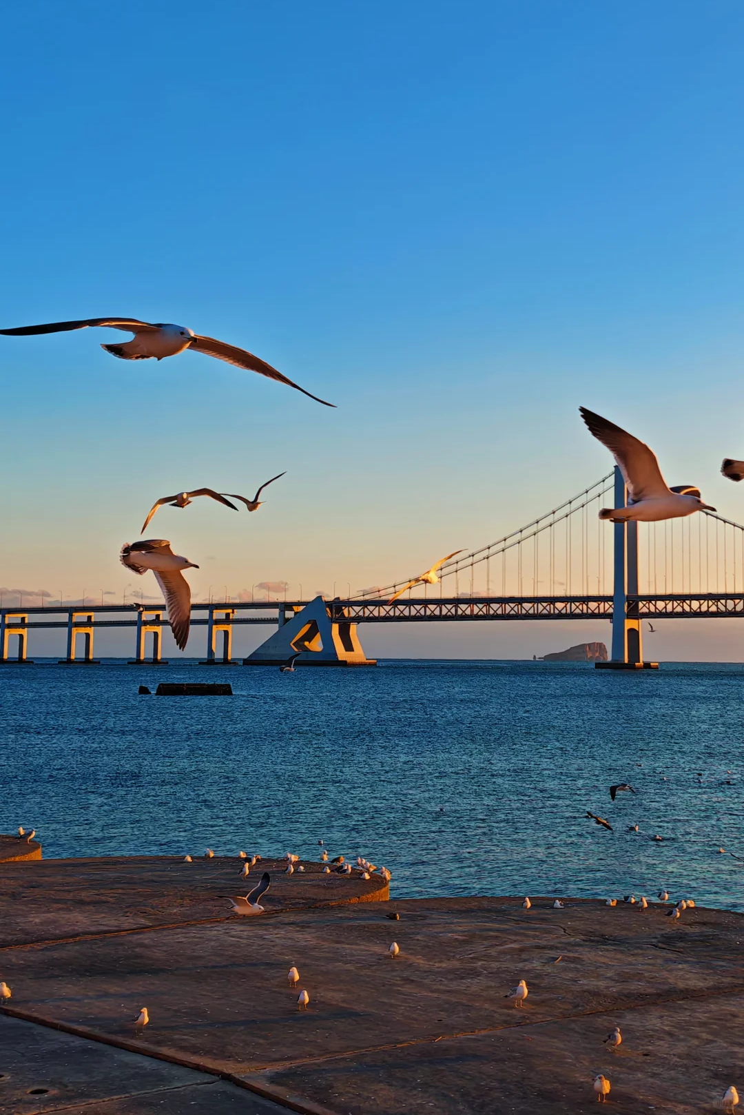 00000000GVTefHdZLOEVrEHO