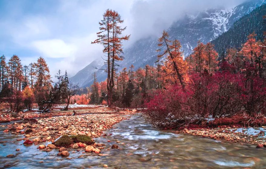 00000000GcTcxYohxlTmSxzV