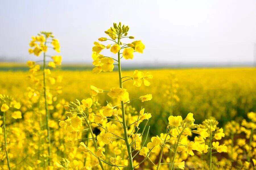 00000000GfTgfQLtZizDxeEL