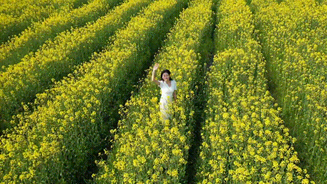 00000000GkOHAcbrBGPeoEwl-1