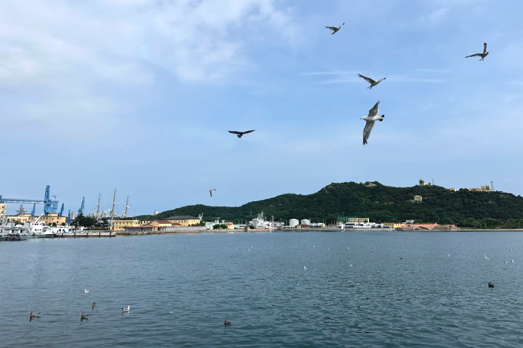 00000000GlqkbcMALyLTdpzm