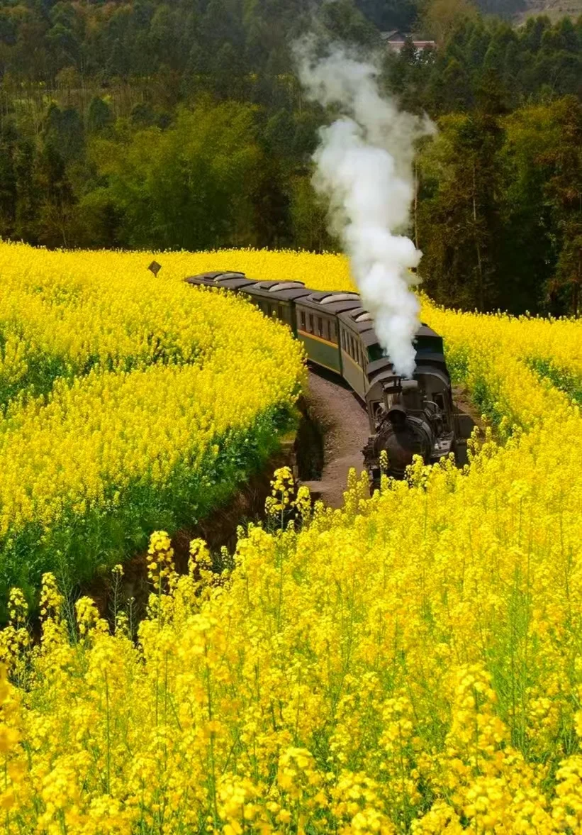 00000000GovaYTHipNkrEmcY