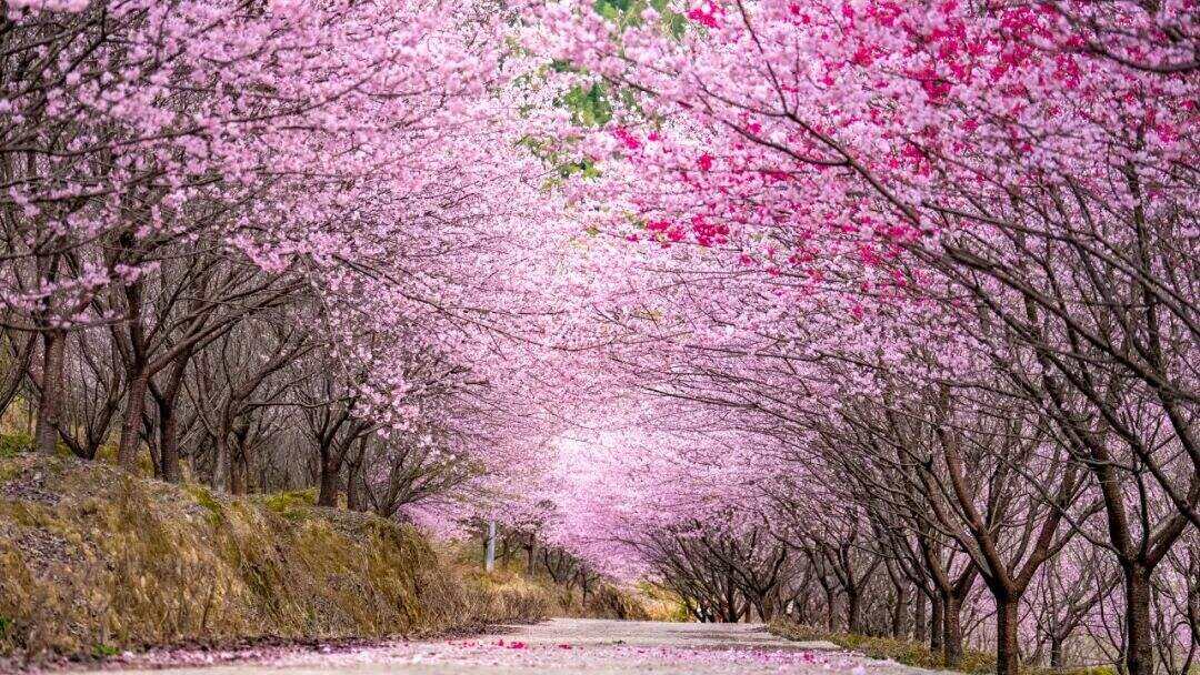 00000000GzfSFrtIgAvXoKFq