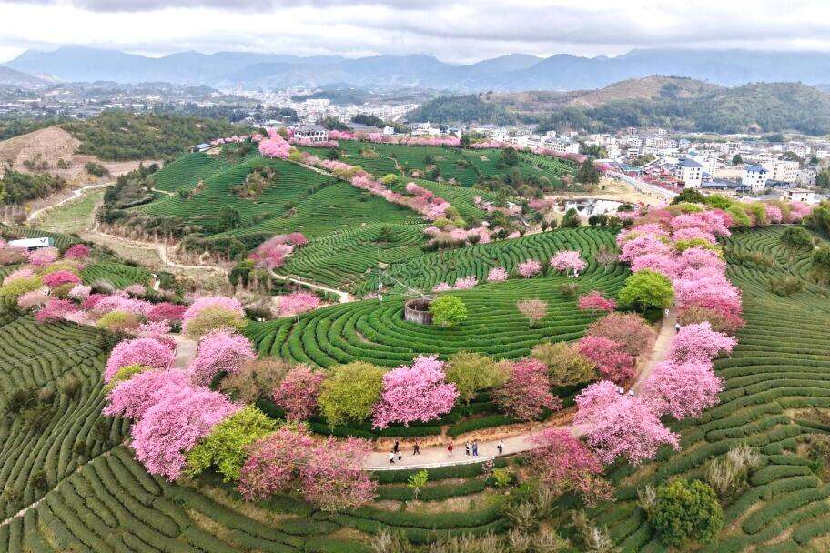 00000000HcLFHugoPaBeMzeo