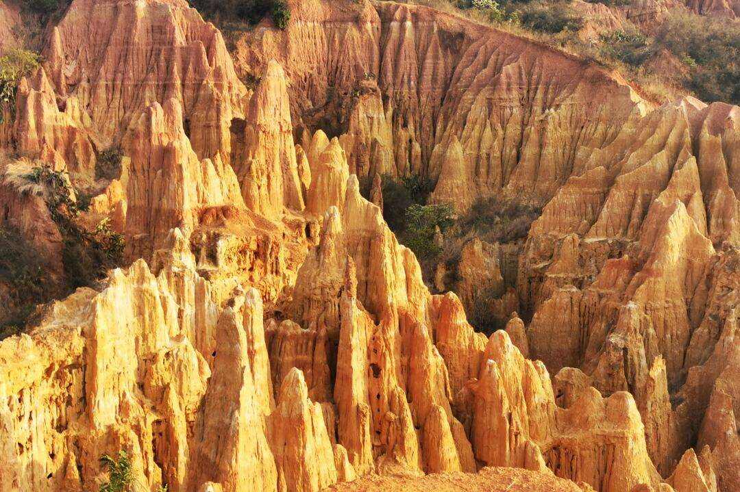 00000000HsONSWmmGwCMOVFd 00000000HsONSWmmGwCMOVFd