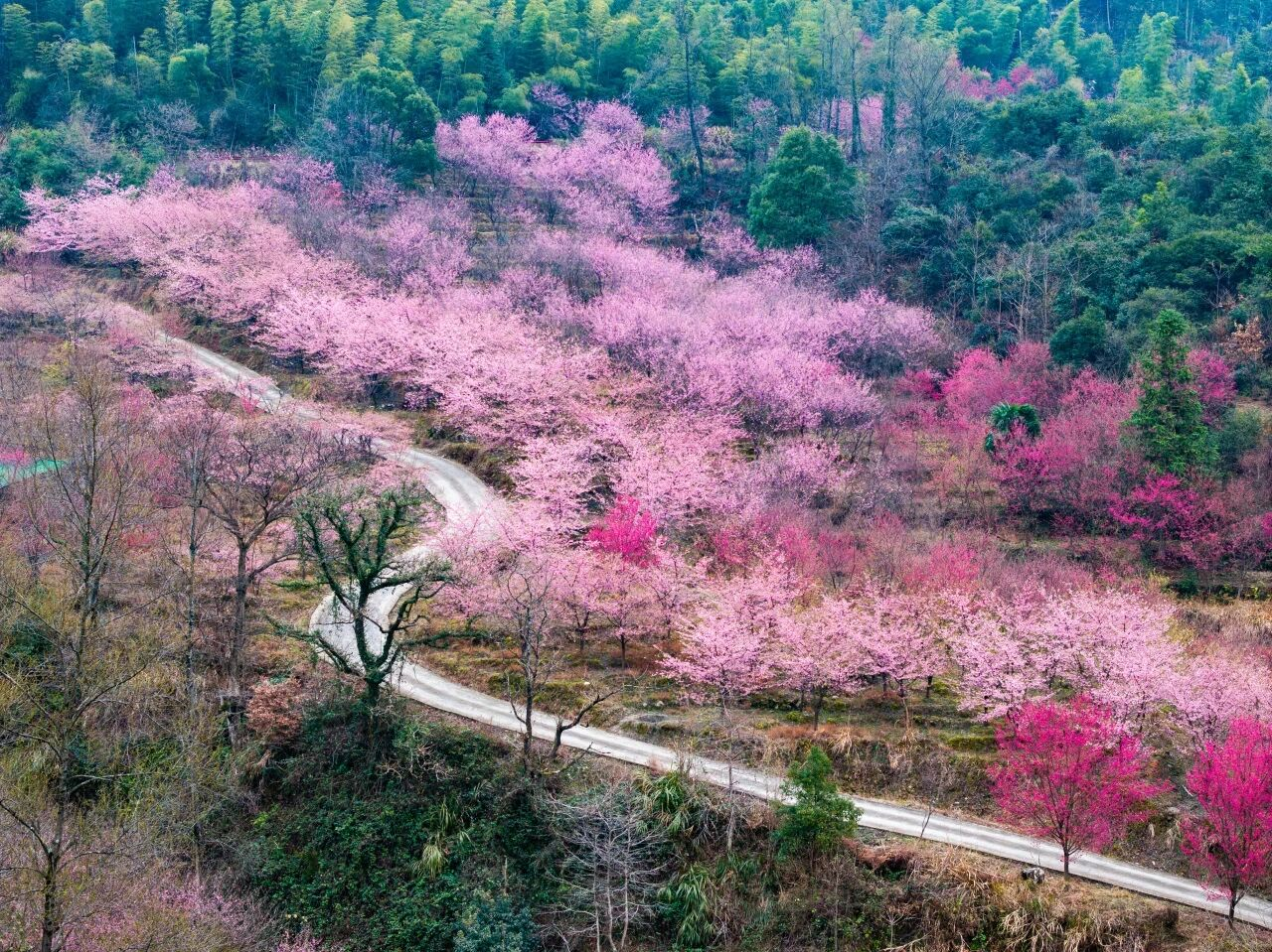 00000000ITTihkekWLzqHonh