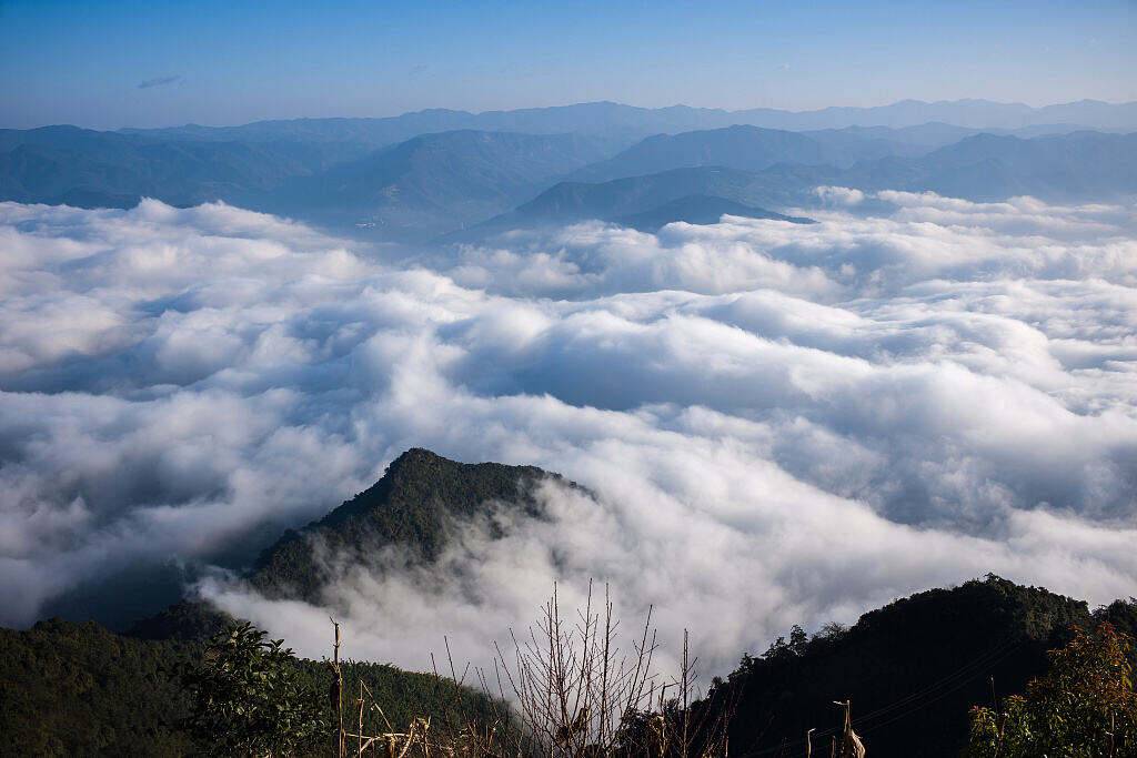 00000000JXgshyARthfaSHoV