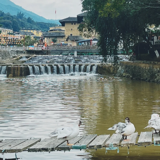 00000000JkQSENWaVjJvwhta-1