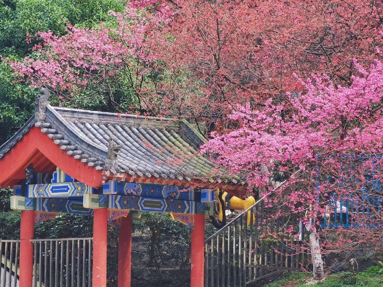 00000000KCtLmWuXECCpVjwf 00000000KCtLmWuXECCpVjwf