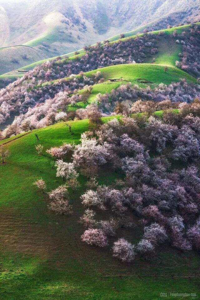 00000000KXquhepKOgOLakpn 00000000KXquhepKOgOLakpn