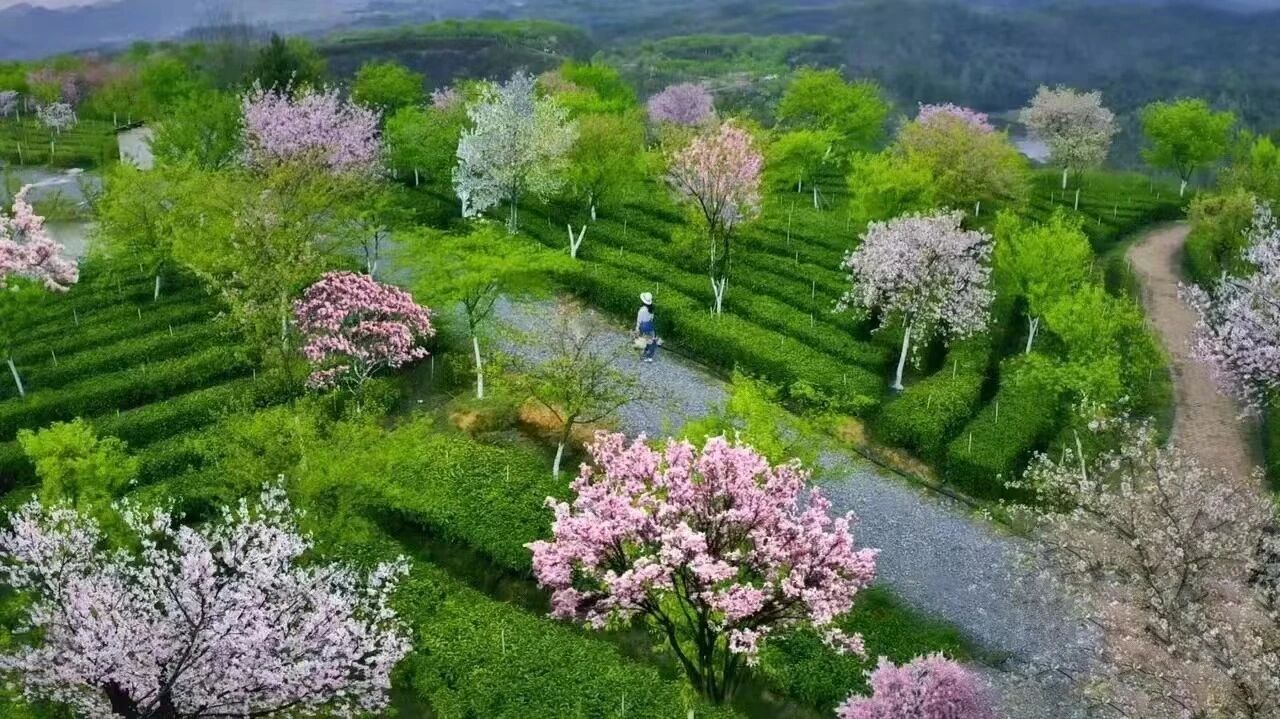 00000000KzbkMJldAsdzapzJ-1