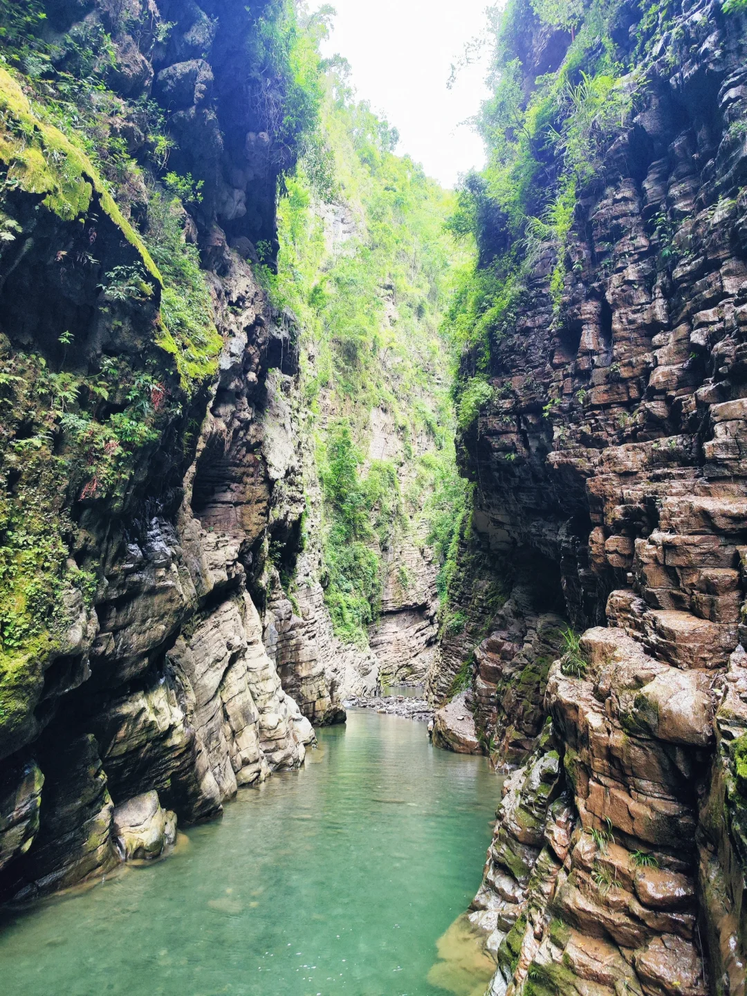 00000000LHAaFzpGrOHclDUc