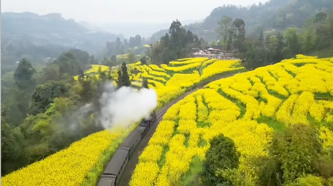 00000000LHfkJtYfcvKUablt