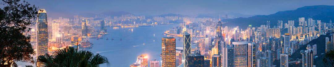 00000000LMscidDlphHtMkQE