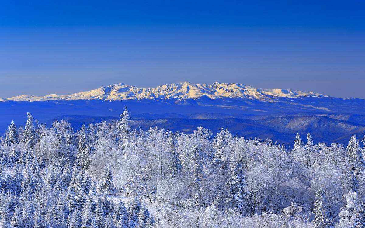 00000000LNjHzfMPSTnGWeEB