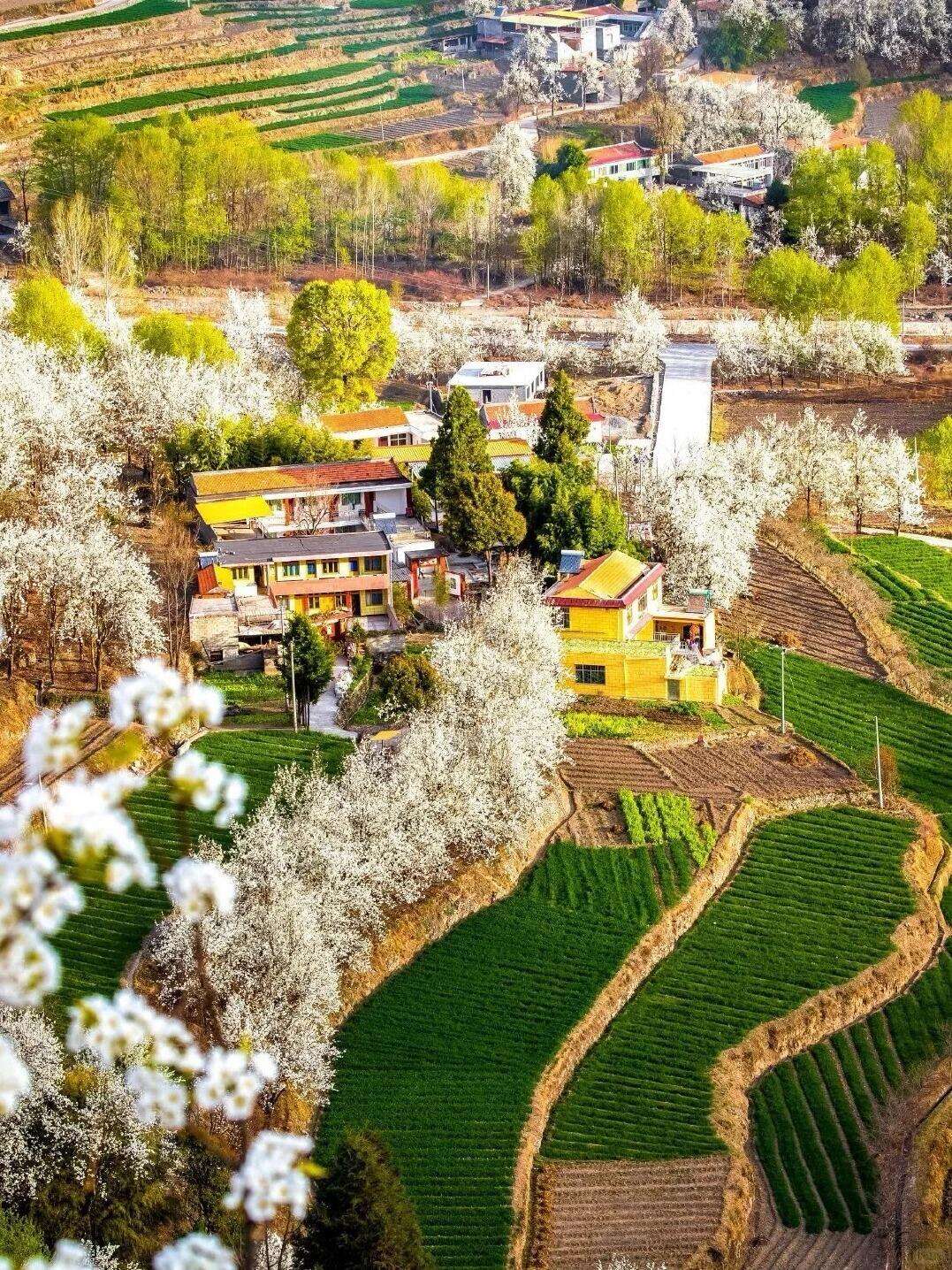 00000000LRqsYQDFBlGXMlBe