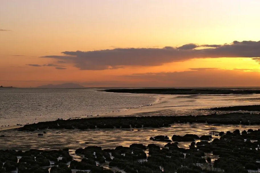 00000000LXtSNknqOOZosWgC-1