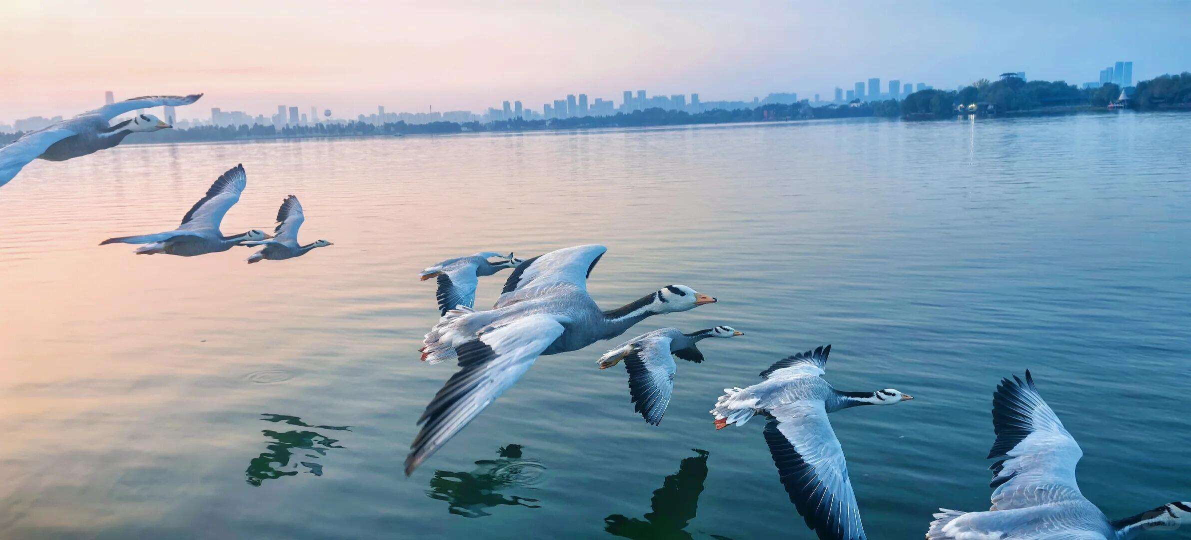 00000000MPWtVyEOtNOkryJY 00000000MPWtVyEOtNOkryJY