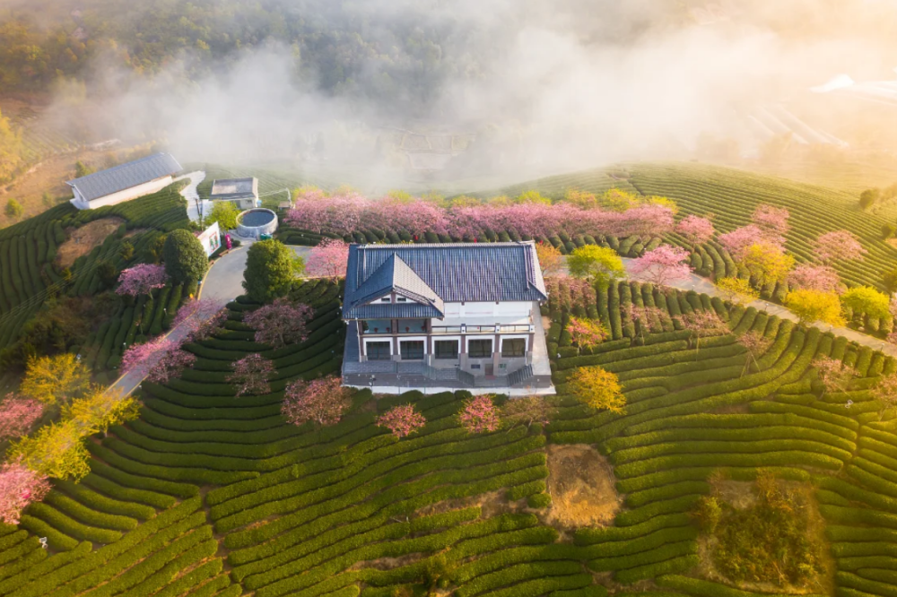 00000000MQlwWYsVAQLCWZDZ-1