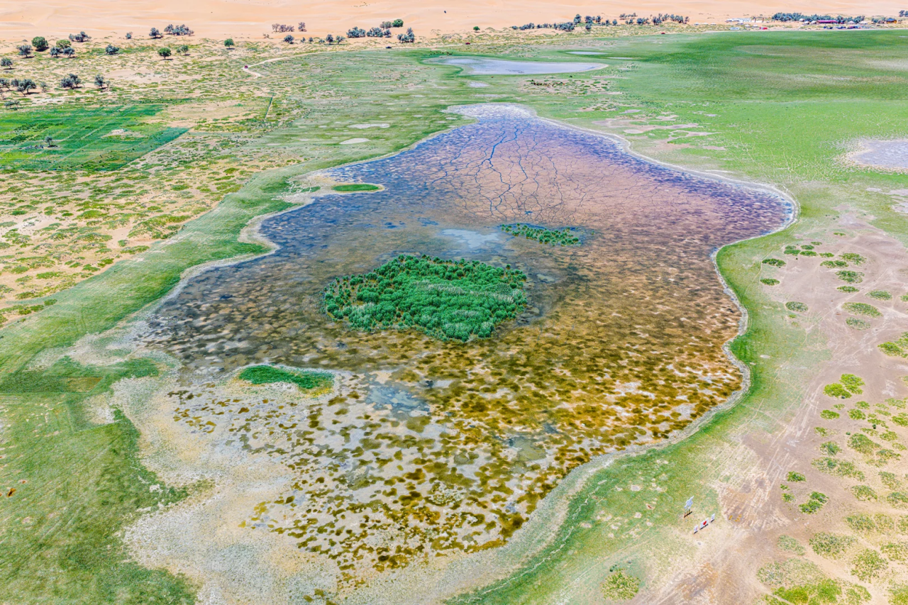 00000000MgABBEpqYTmQTJti 00000000MgABBEpqYTmQTJti