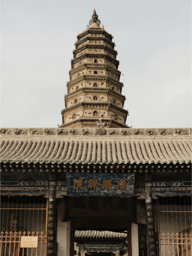 00000000MjpTLyyHzQQCilCG 00000000MjpTLyyHzQQCilCG