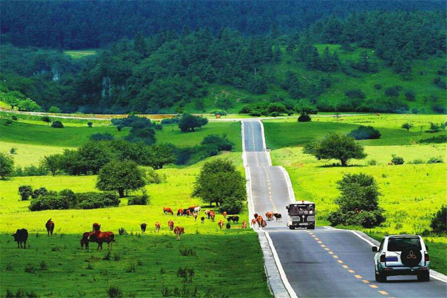 00000000MoCbUQktlcrEtTZJ