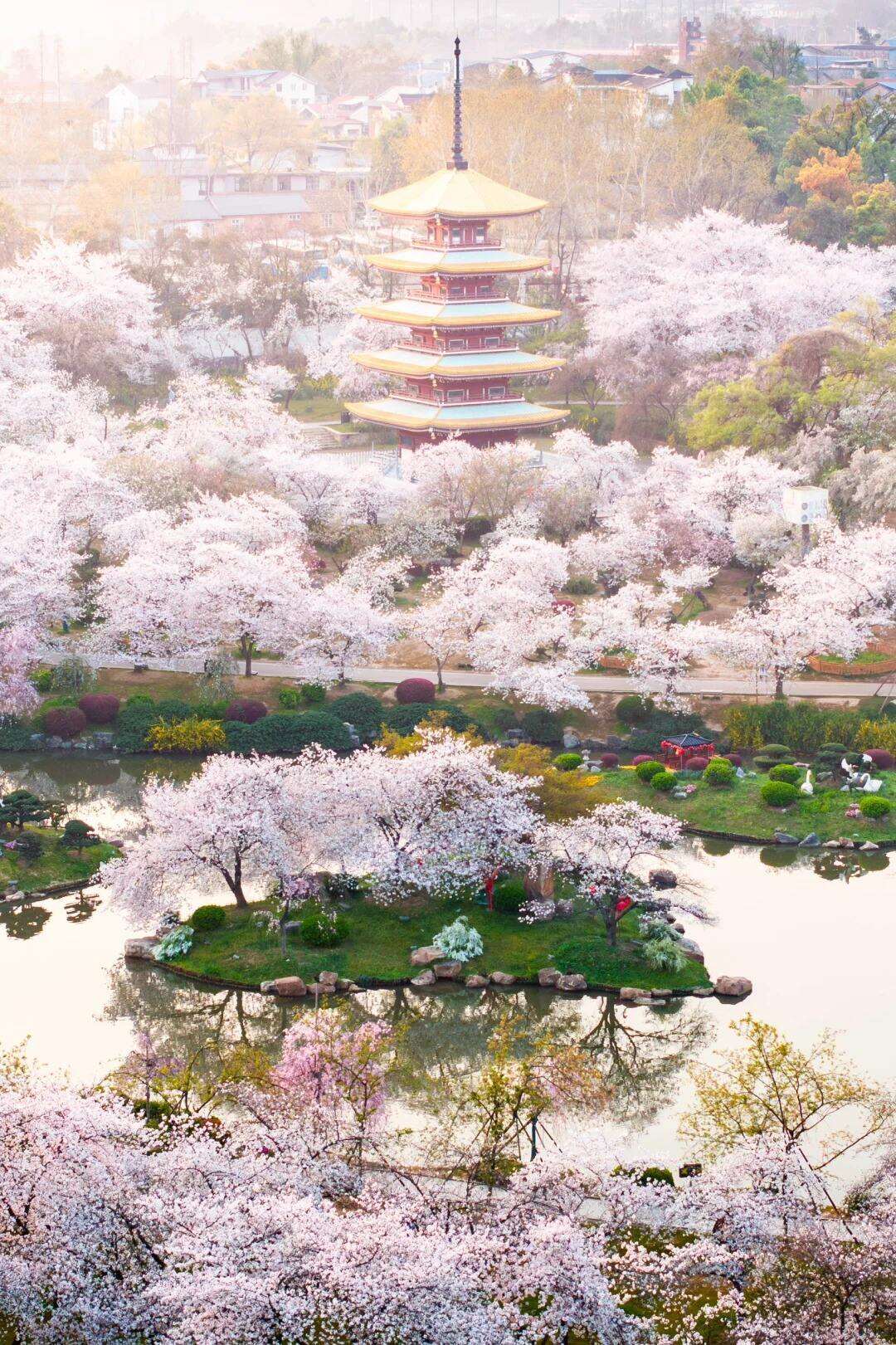 00000000MskLxoGryVoLcasl