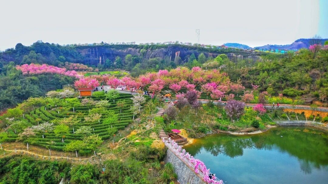 00000000NAyzSyokRklyDQaw-1