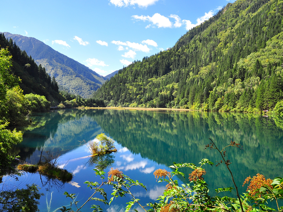 00000000NkNffTVpUXCMtyAr