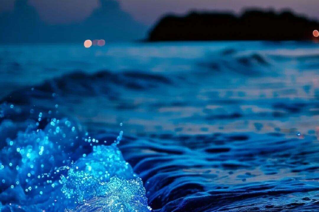 00000000NspGdDhkKLrPuRnj