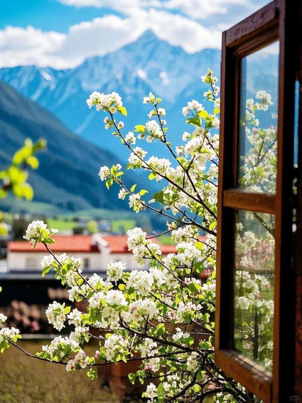 00000000NvKvtMVHjdCXbLSE