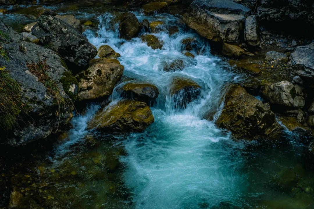 00000000NwTtibzBQYKCBWcR