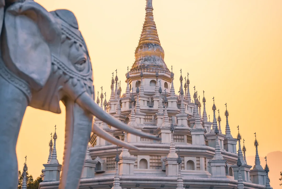 00000000OWMxbCdEVjBVWvZJ 00000000OWMxbCdEVjBVWvZJ