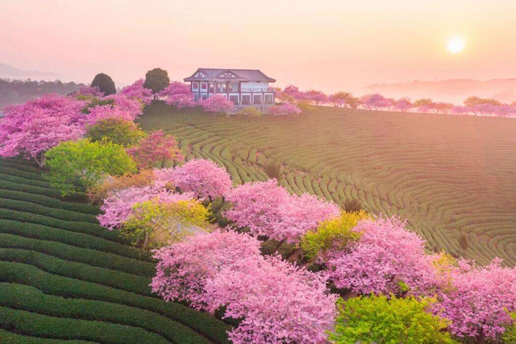 00000000OkezvcaaOXkjRYjj-1