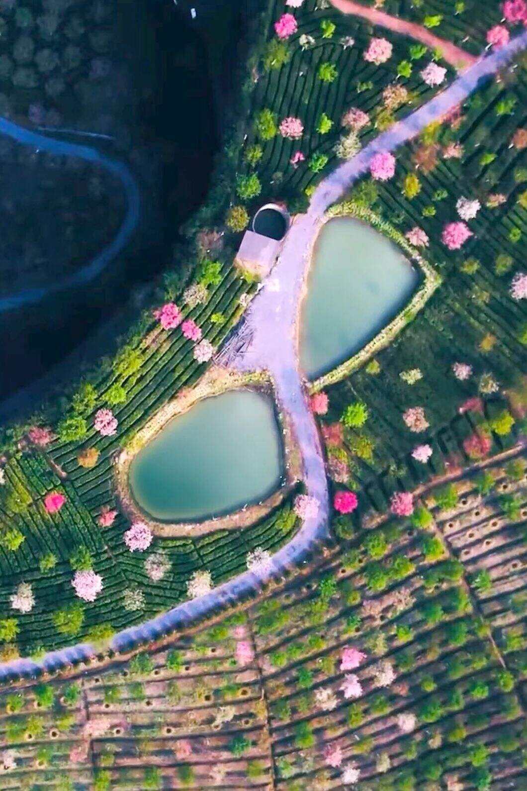 00000000OmsMAFnTUTntCHkC 00000000OmsMAFnTUTntCHkC