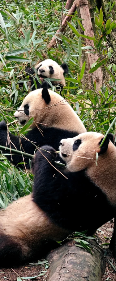 00000000POuZHNWRquDyfPTS