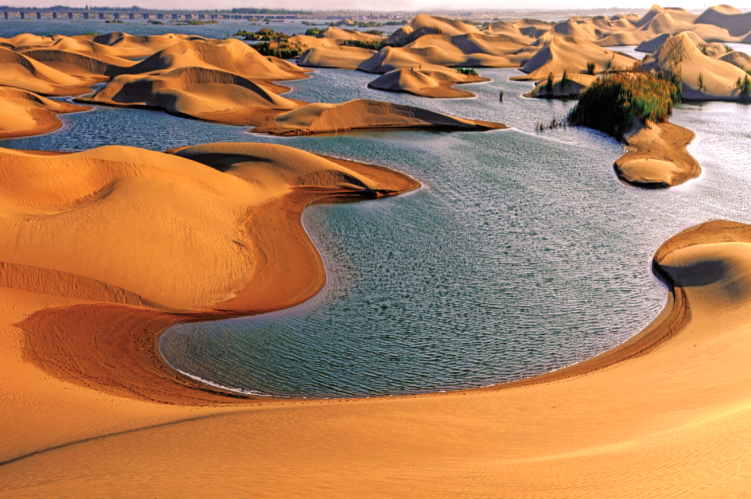 00000000PmQZHUgcqYSlTxST